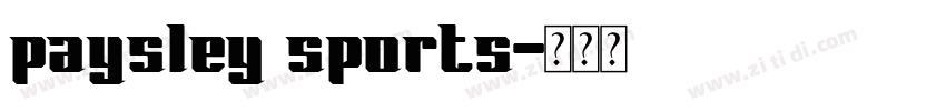 paysley sports字体转换